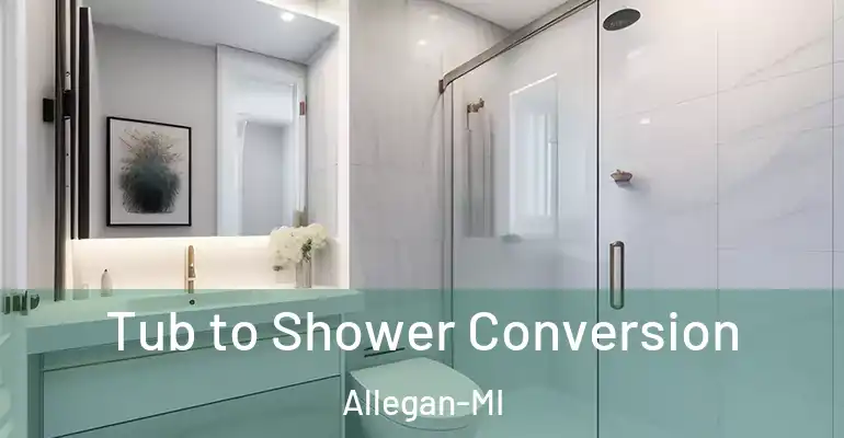inner Bathroom imggen Tub to Shower Conversion Allegan-MI