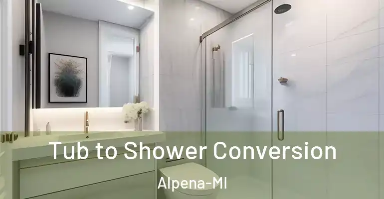 inner Bathroom imggen Tub to Shower Conversion Alpena-MI
