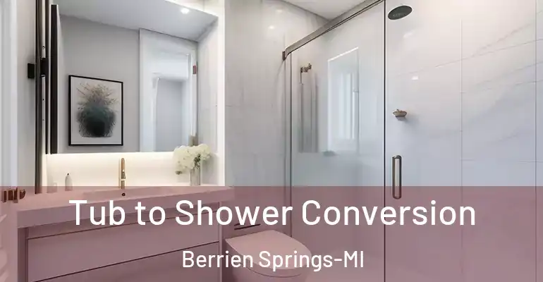 inner Bathroom imggen Tub to Shower Conversion Berrien Springs-MI