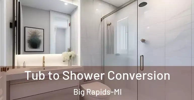 inner Bathroom imggen Tub to Shower Conversion Big Rapids-MI