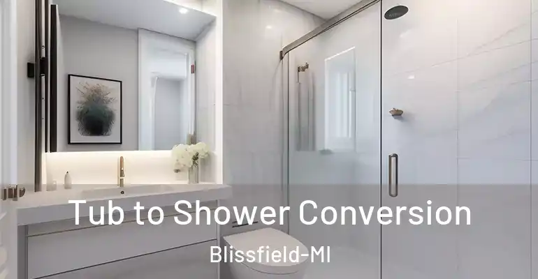 inner Bathroom imggen Tub to Shower Conversion Blissfield-MI