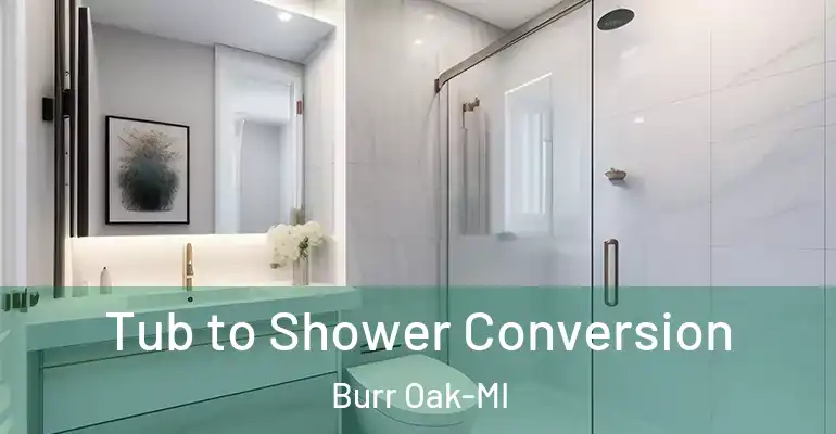 inner Bathroom imggen Tub to Shower Conversion Burr Oak-MI