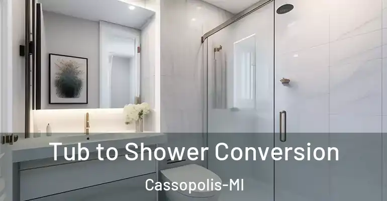 inner Bathroom imggen Tub to Shower Conversion Cassopolis-MI