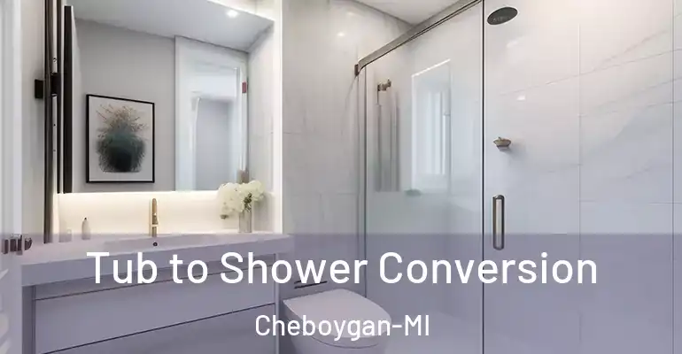 inner Bathroom imggen Tub to Shower Conversion Cheboygan-MI