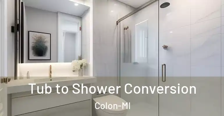 inner Bathroom imggen Tub to Shower Conversion Colon-MI