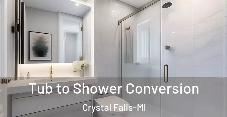 inner Bathroom imggen Tub to Shower Conversion Crystal Falls-MI