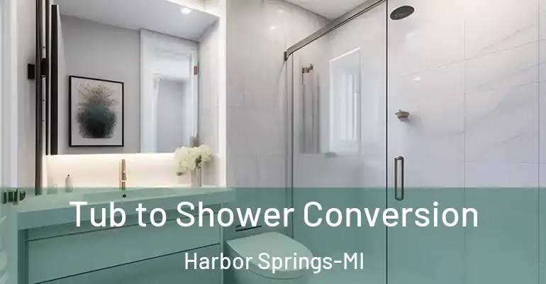 inner Bathroom imggen Tub to Shower Conversion Harbor Springs-MI