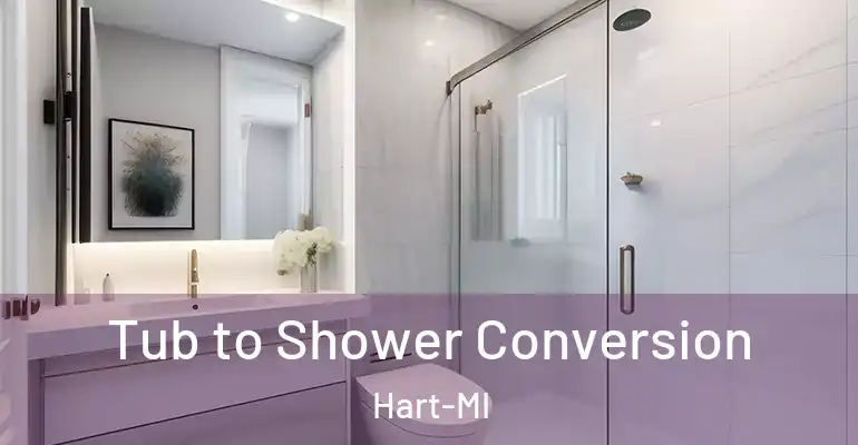 inner Bathroom imggen Tub to Shower Conversion Hart-MI