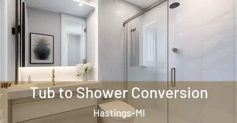 inner Bathroom imggen Tub to Shower Conversion Hastings-MI