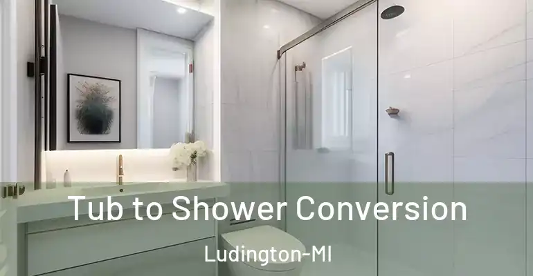 inner Bathroom imggen Tub to Shower Conversion Ludington-MI