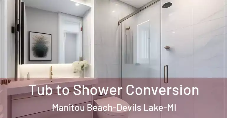 inner Bathroom imggen Tub to Shower Conversion Manitou Beach-Devils Lake-MI