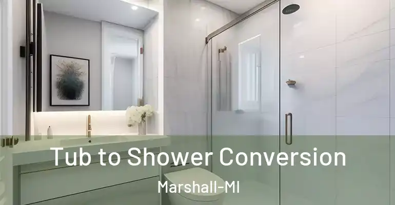 inner Bathroom imggen Tub to Shower Conversion Marshall-MI
