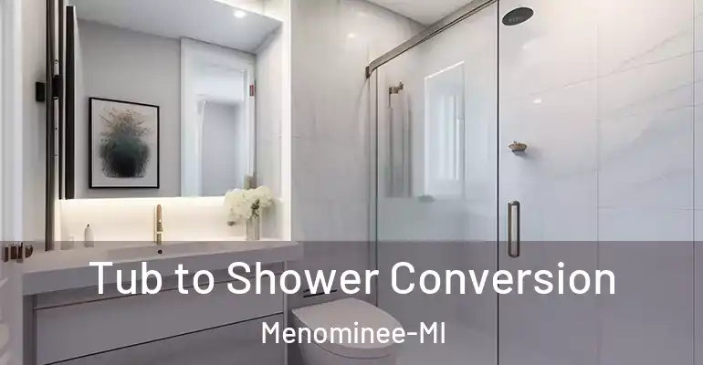 inner Bathroom imggen Tub to Shower Conversion Menominee-MI