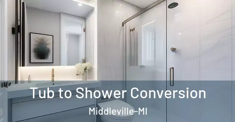 inner Bathroom imggen Tub to Shower Conversion Middleville-MI