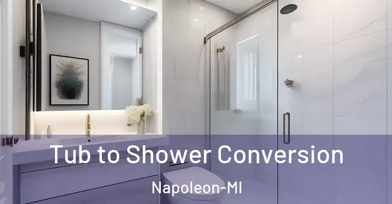 inner Bathroom imggen Tub to Shower Conversion Napoleon-MI