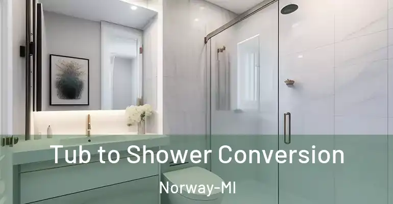 inner Bathroom imggen Tub to Shower Conversion Norway-MI
