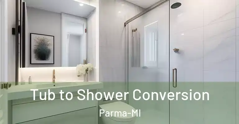 inner Bathroom imggen Tub to Shower Conversion Parma-MI
