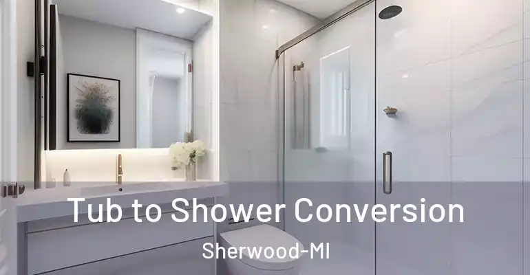 inner Bathroom imggen Tub to Shower Conversion Sherwood-MI