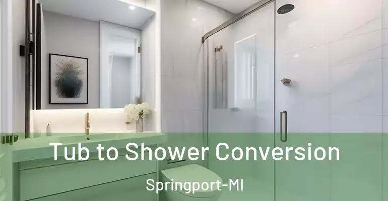 inner Bathroom imggen Tub to Shower Conversion Springport-MI