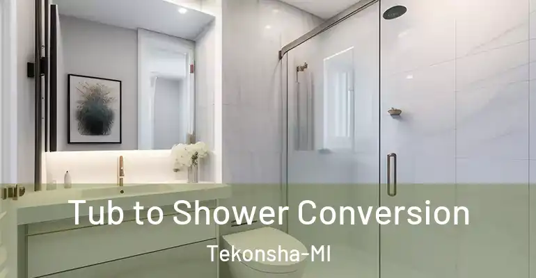 inner Bathroom imggen Tub to Shower Conversion Tekonsha-MI