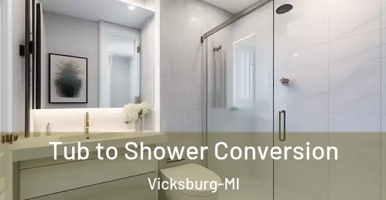 inner Bathroom imggen Tub to Shower Conversion Vicksburg-MI