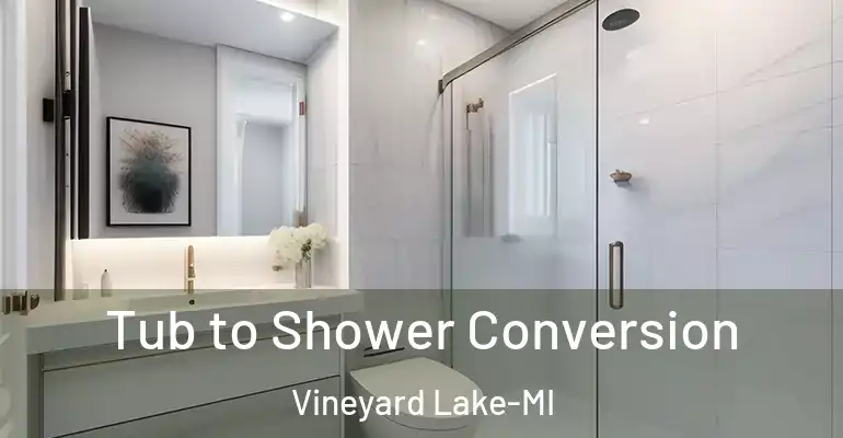 inner Bathroom imggen Tub to Shower Conversion Vineyard Lake-MI