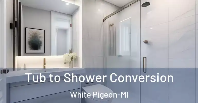 inner Bathroom imggen Tub to Shower Conversion White Pigeon-MI