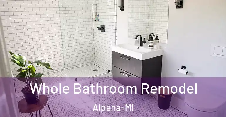 inner Bathroom imggen Whole Bathroom Remodel Alpena-MI