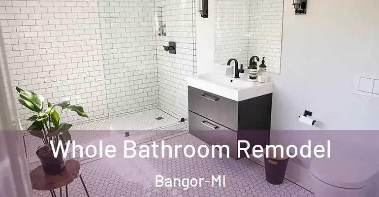 inner Bathroom imggen Whole Bathroom Remodel Bangor-MI