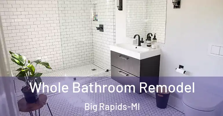 inner Bathroom imggen Whole Bathroom Remodel Big Rapids-MI