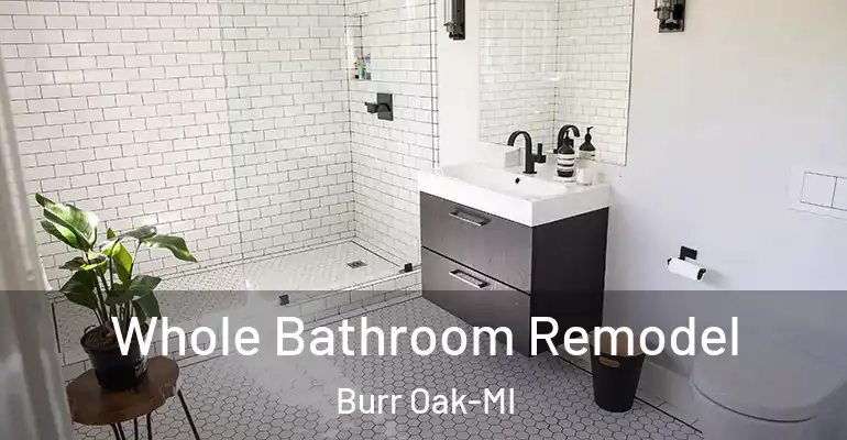 inner Bathroom imggen Whole Bathroom Remodel Burr Oak-MI