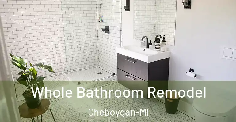 inner Bathroom imggen Whole Bathroom Remodel Cheboygan-MI