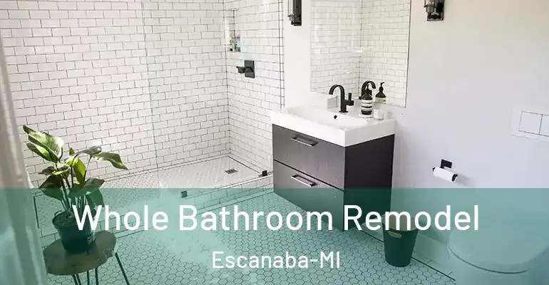 inner Bathroom imggen Whole Bathroom Remodel Escanaba-MI