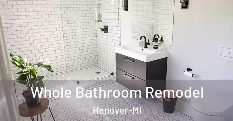 inner Bathroom imggen Whole Bathroom Remodel Hanover-MI
