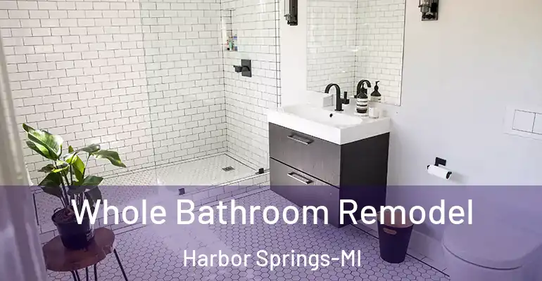 inner Bathroom imggen Whole Bathroom Remodel Harbor Springs-MI