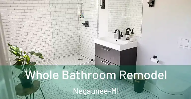 inner Bathroom imggen Whole Bathroom Remodel Negaunee-MI
