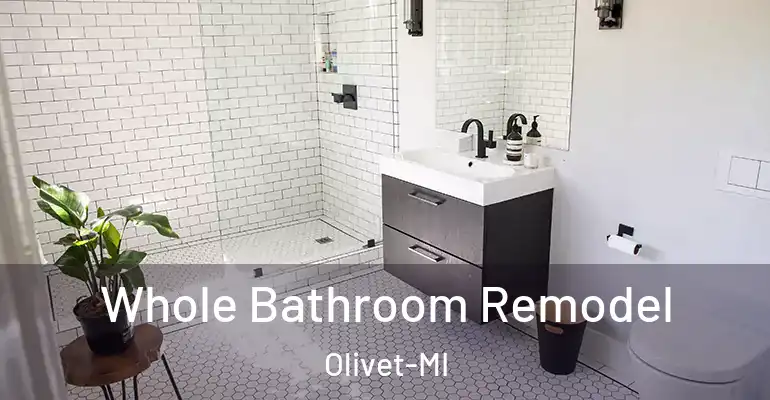 inner Bathroom imggen Whole Bathroom Remodel Olivet-MI