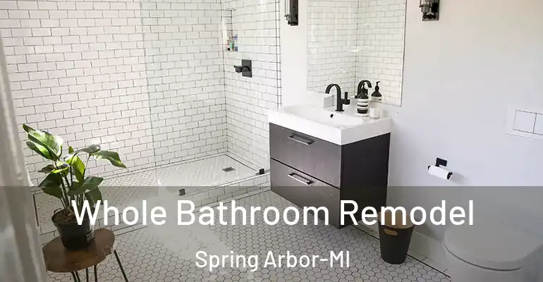 inner Bathroom imggen Whole Bathroom Remodel Spring Arbor-MI