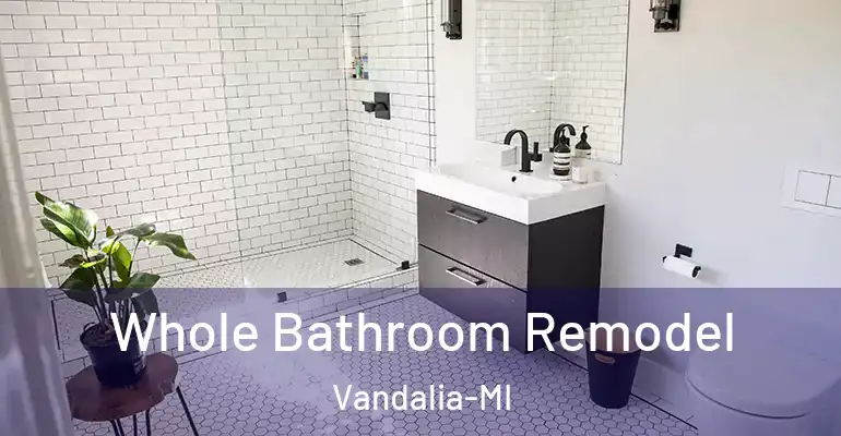 inner Bathroom imggen Whole Bathroom Remodel Vandalia-MI